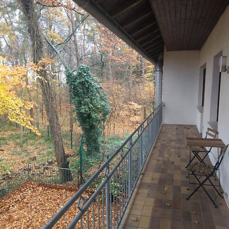 Hotel Hopener Wald ,Self Check In Lohne  Exterior photo